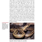 Garter Snakes and Water Snakes