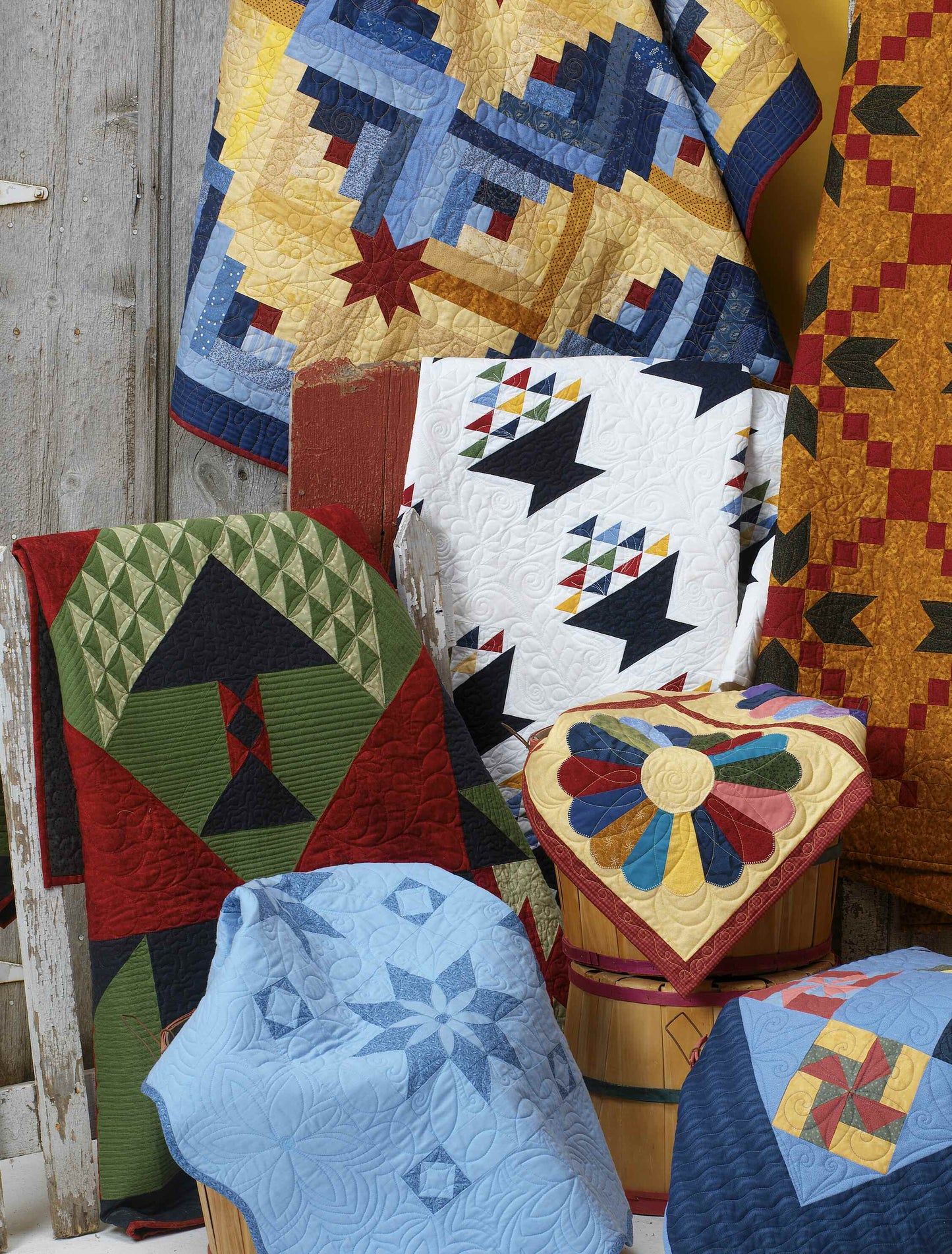 Quilts from a Painter's Art