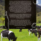 Brief History of Milk Production, A: From Farm to Market