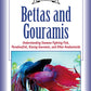 Bettas and Gouramis