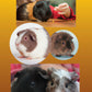 Guinea Pigs