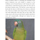 Conures