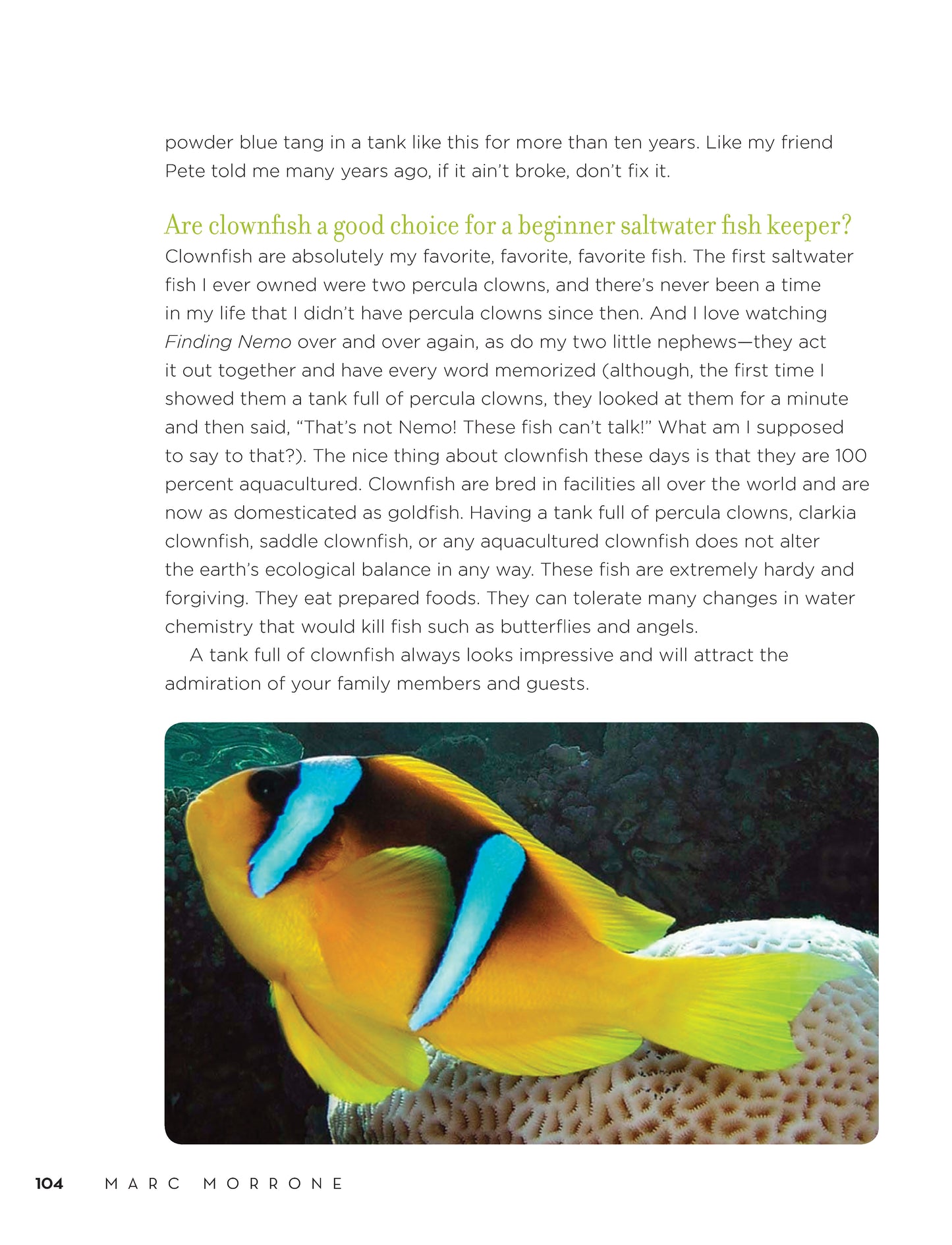 Marc Morrone's Ask the Fish Keeper