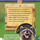 Kids' Backyard Safari: Raccoons