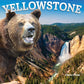 Discover Great National Parks: Yellowstone