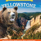 Discover Great National Parks: Yellowstone