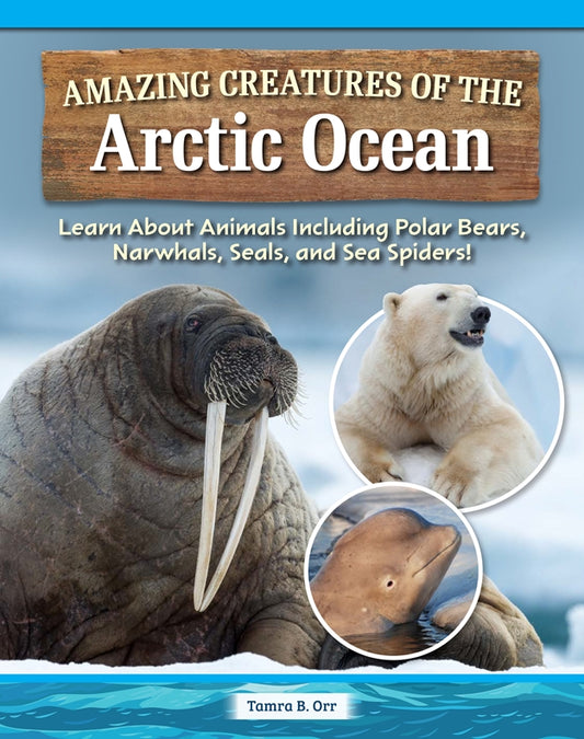 Amazing Creatures of the Arctic Ocean