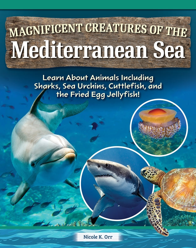 Magnificent Creatures of the Mediterranean Sea